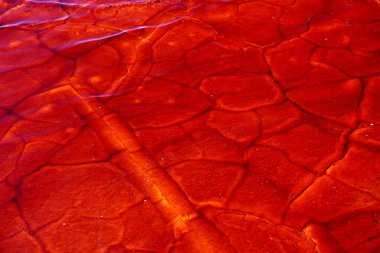 Rio Tinto 'nun kırmızı suları, eritilmiş minerallerle boyanmış, özellikle demirle. Endülüs, İspanya