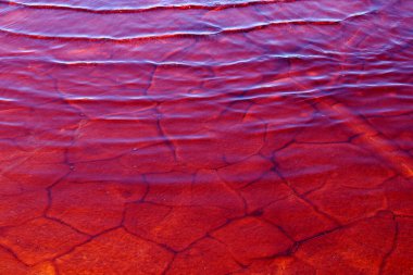 Red waters of the Rio Tinto, coloured by dissolved minerals, primarily iron. Andalusia, Spain clipart