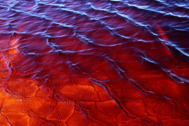 Rio Tinto 'nun kırmızı suları, eritilmiş minerallerle boyanmış, özellikle demirle. Endülüs, İspanya