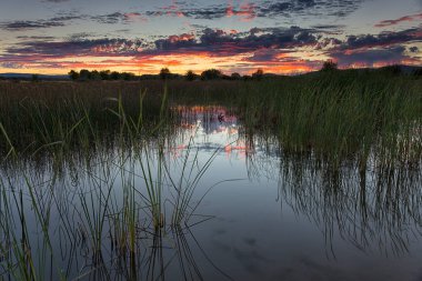 İspanya, Zamora ili, İlkbaharda suyla dolu Villafafila açıkları