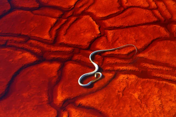 Rotes Wasser Des Rio Tinto Gefärbt Durch Gelöste Mineralien Hauptsächlich — Stockfoto