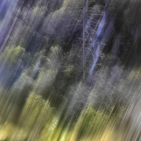 Fonte Del Fiume Cuervo Vega Del Codorno Serrana Cuenca Provincia — Foto Stock