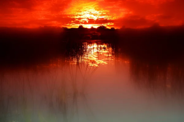 España Provincia Zamora Villafafila Lagunas Llenas Agua Primavera — Foto de Stock