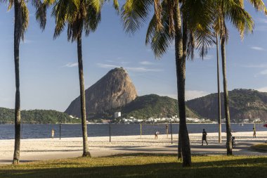 Brezilya, Rio de Janeiro 'daki Flamengo Sahili' nden görünen hindistan cevizi palmiyelerinin arkasındaki Sugar Loaf Dağı 'na güzel bir manzara.