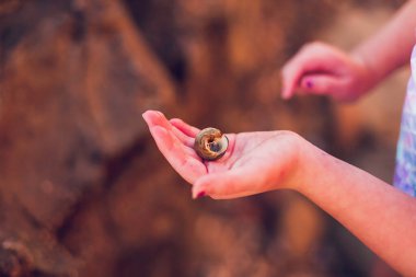 Kumsalda elinde yengeç kabuğu tutan bir kız..