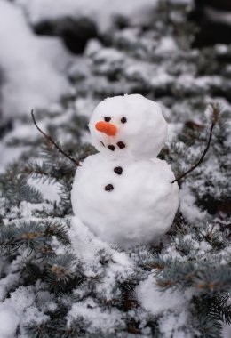 Küçük kardan adam, kış günü dalların üzerinde oturuyor..