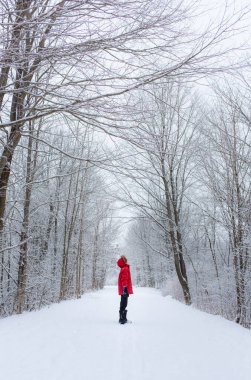 Stockholm 'deki Riddarholmen Adası ve Gamla Stan' in panoramik manzarası
