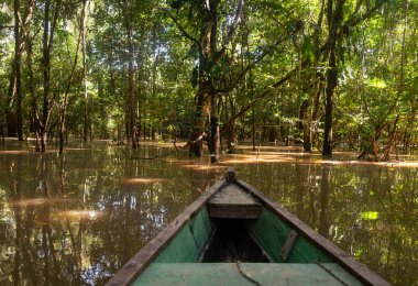 Mocagua, Amazonlar, Kolombiya yakınlarındaki Amazon Nehri 'nin yanındaki sel basmış bir ormanda bir tekne yüzüyor..