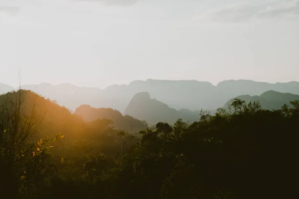 Mountain Landscape Sunset Warm Glow Palm Trees — Stock Photo, Image