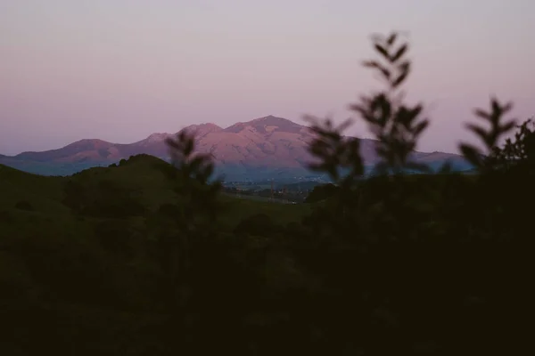 Purple sky and mountains at dusk with trees in the foreground