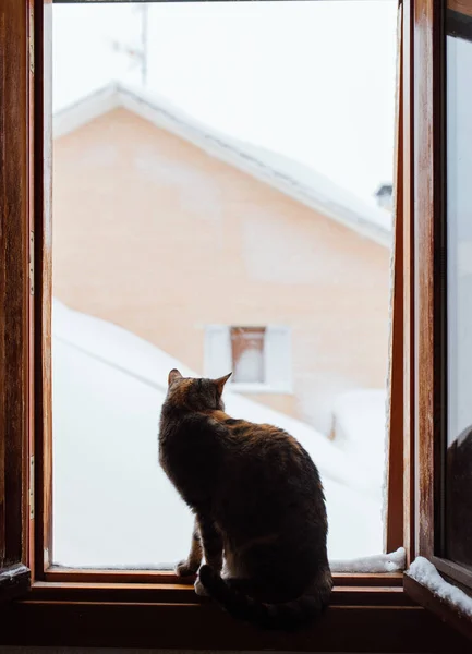 Blizzard Contra Construcción Día Nevado —  Fotos de Stock