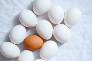 Beyaz tavuk yumurtaları ve beyaz buruşuk arka planda bir kahverengi..