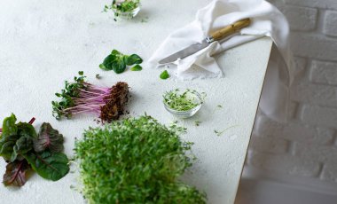 Masada mikro yeşil var. Sağlıklı beslenme konsepti. Taze organik gıda.