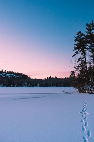 Όμορφη Ανατολή Μια Παγωμένη Λίμνη Χειμώνα Στο Οντάριο Του Καναδά — Φωτογραφία Αρχείου