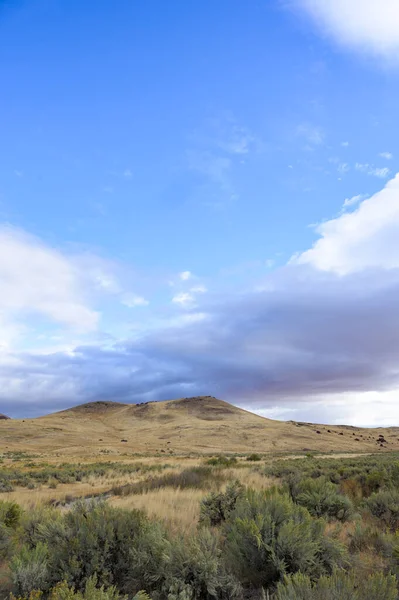 Bulutlu Leslie Gulch Manzarası — Stok fotoğraf