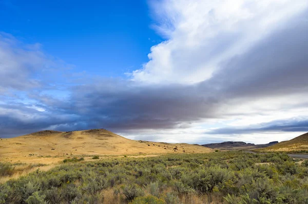 Bulutlu Leslie Gulch Manzarası — Stok fotoğraf