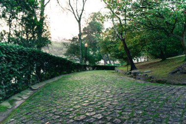 Parkın kaldırımında yürüyorum.