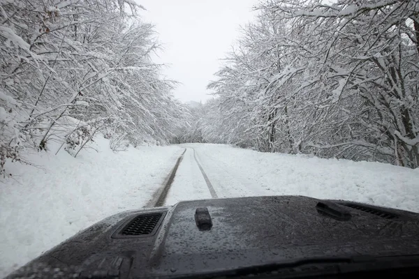 snowy road seen from inside an all terrain vehicle going through the s