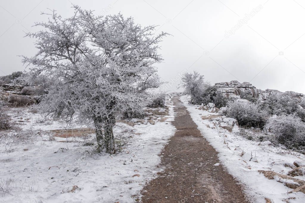 Snowy landscape in the Torcal de Antequera.