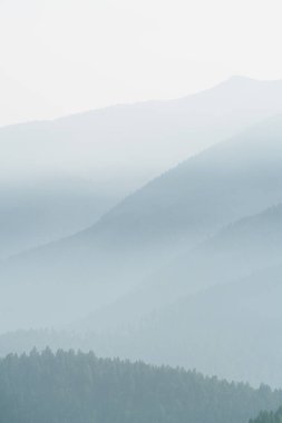 Olimpiyat Ulusal Parkı 'ndaki Olimpiyat Dağları manzarası