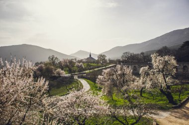 İlkbaharda el-esenlik bahçeleri.