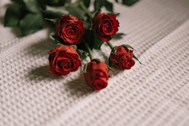 Havluda 5 kırmızı gül..