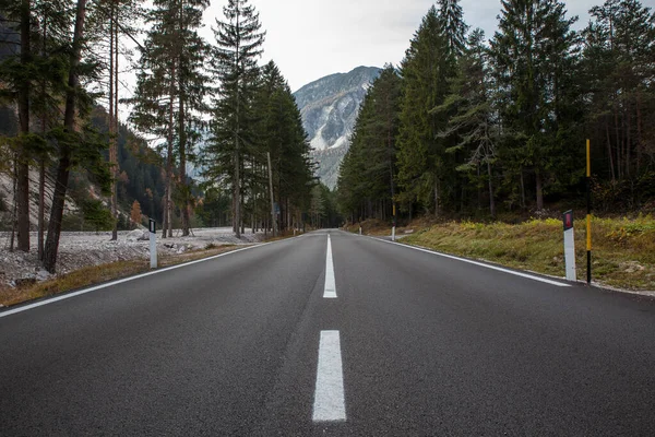 森林や山のある高速道路は — ストック写真