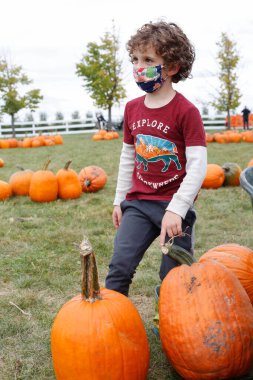 Illinois 'de bir çiftlikte balkabağı toplayan genç bir çocuk.