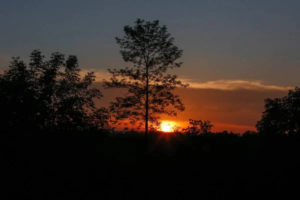 Захід Сонця Лісі Кампусі Вісконсіні — стокове фото
