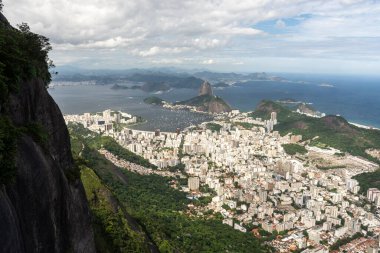 Corcovado Dağı 'ndan güzel yeşil yağmur ormanı manzarası