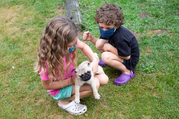 Deux Enfants Jouent Avec Chiot Chiot Extérieur — Photo