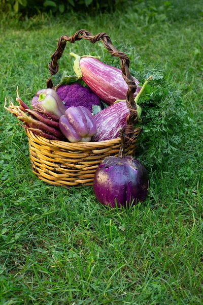 Purple Produce Una Canasta Marrón Sol — Foto de Stock