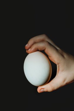 Siyah arka planda beyaz ördek yumurtası tutan bir çocuk.