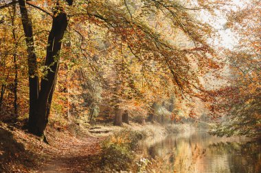 Sonbaharda yansımalarla kanal kenarı manzarası