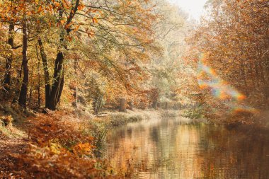 Sonbaharda yansıma ve ışık parıltısıyla kanalın manzara görüntüsü