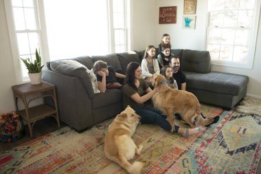 Yedi kişilik aile oturma odasında köpeklerle televizyon izliyor..