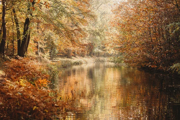 Sonbaharda yansımalar ve dalgalanmalarla kanal manzarası