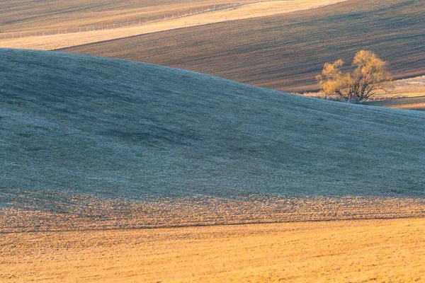 Sonbaharda Negev Çölü Nün Hava Manzarası — Stok fotoğraf