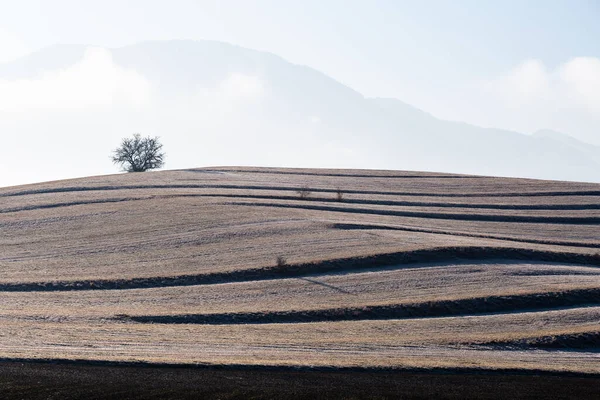 木々に囲まれた美しい風景 — ストック写真