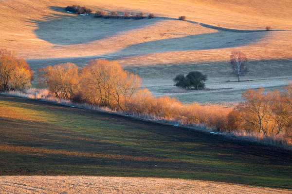 Árvores Incríveis Outono Bela Paisagem — Fotografia de Stock