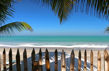 Turkuaz suyu ve palmiye ağaçları olan güneşli sahil.