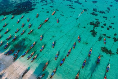 Uzun kuyruk güneşin doğduğu sahilde durdu.