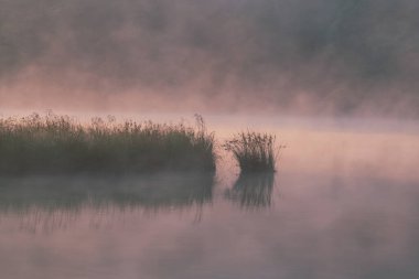 Sisli Renkli Gün Doğumu sırasında Idyllic WV Gölü 'ne Çimen Yansıması