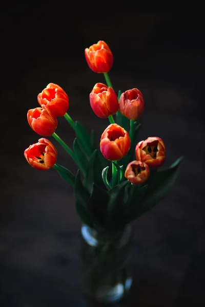 Buquê Tulipas Rosa Luz Sol — Fotografia de Stock