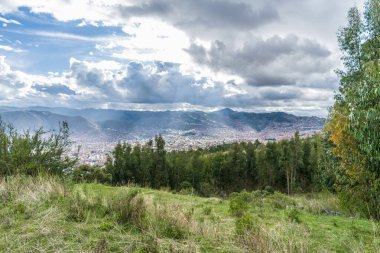 Ormanın ve şehrin yakınındaki çayır.