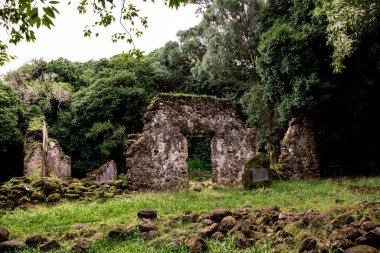 Honolulu tropikal yağmur ormanlarında saklı antika kalıntılar.