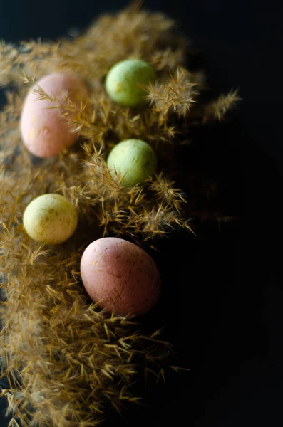 Ovos Páscoa Coloridos Nos Juncos Espaço Livre — Fotografia de Stock