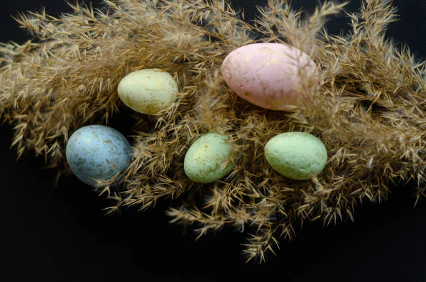 Кольорові Яйця Гілці Чорному Тлі Вільний Простір — стокове фото