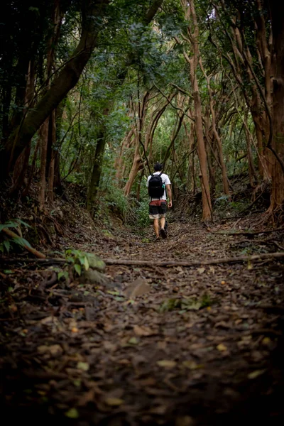 Man Hiking Alone Forest Hawai — Stock Photo, Image