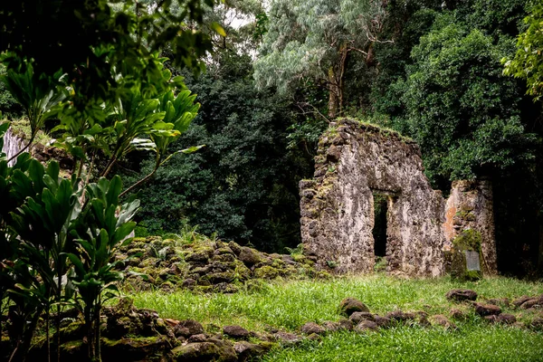 Ruinas Preservadas Con Tiempo Selva Tropical Ahu Hawai — Foto de Stock